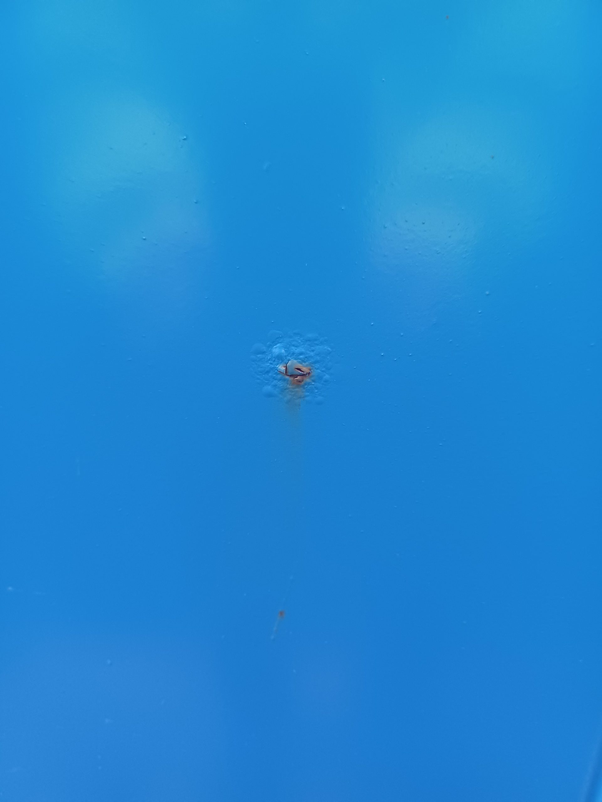 Paint defects What is blistering, what causes blistering and how can